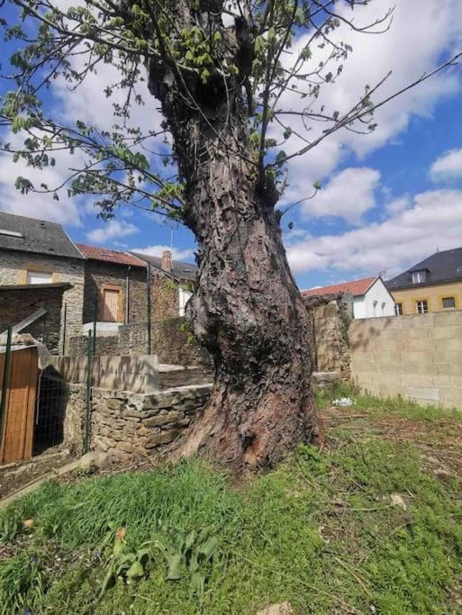 La Cascade Verte /Appartement /Jardin /Parking Braux  Εξωτερικό φωτογραφία